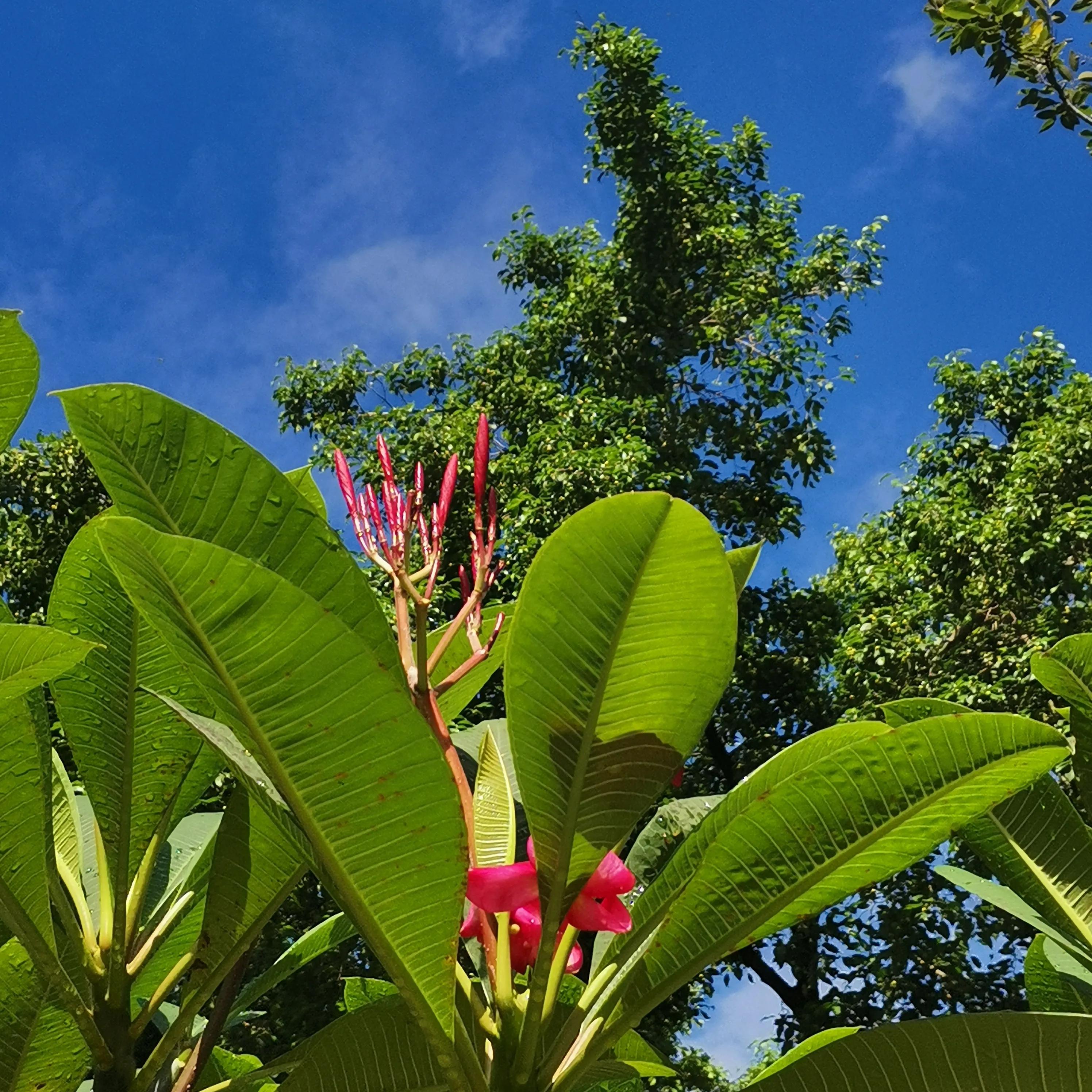 风雨过后见彩虹励志八字句子,风雨过后见彩虹文案句子