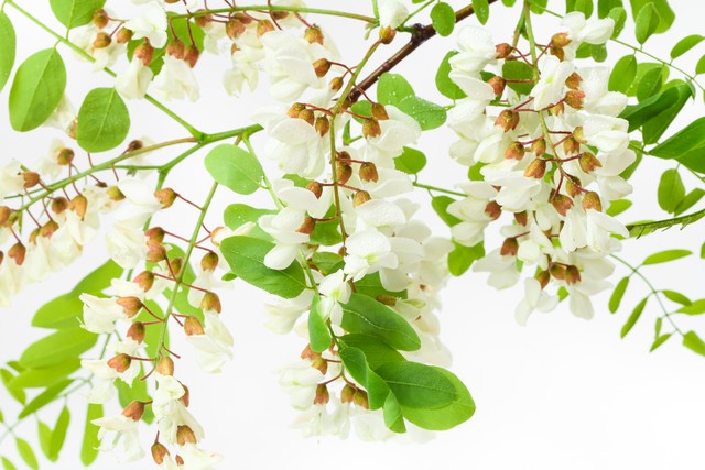 回忆相册里的人生感悟,生活图片感悟人生微信图文