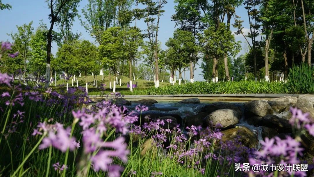 成都值得一游的公园,夏季成都宝藏公园