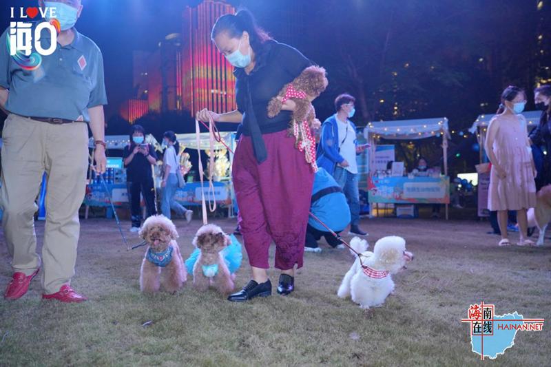 欢聚椰城撒欢趣游“我爱海口我们的节日”活动开幕