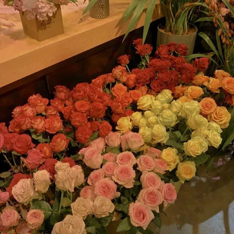 重名率很小的高级英文网名,有哪些重名率很小的网名