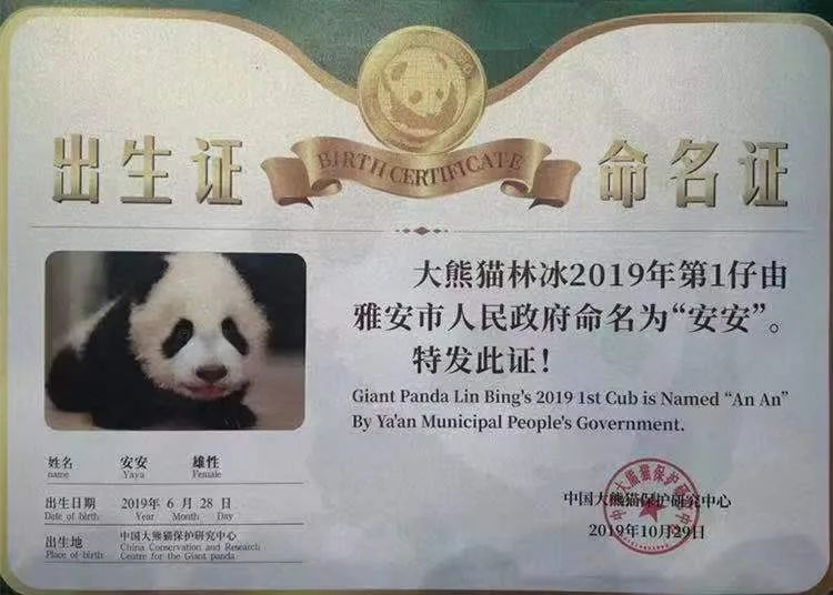 来雅安去哪玩最好玩,夏天去雅安旅游怎么样