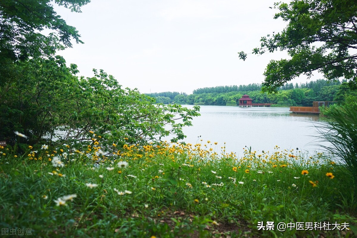 阴阳两虚可以先治疗阴虚吗,阴阳两虚去哪儿看中医好