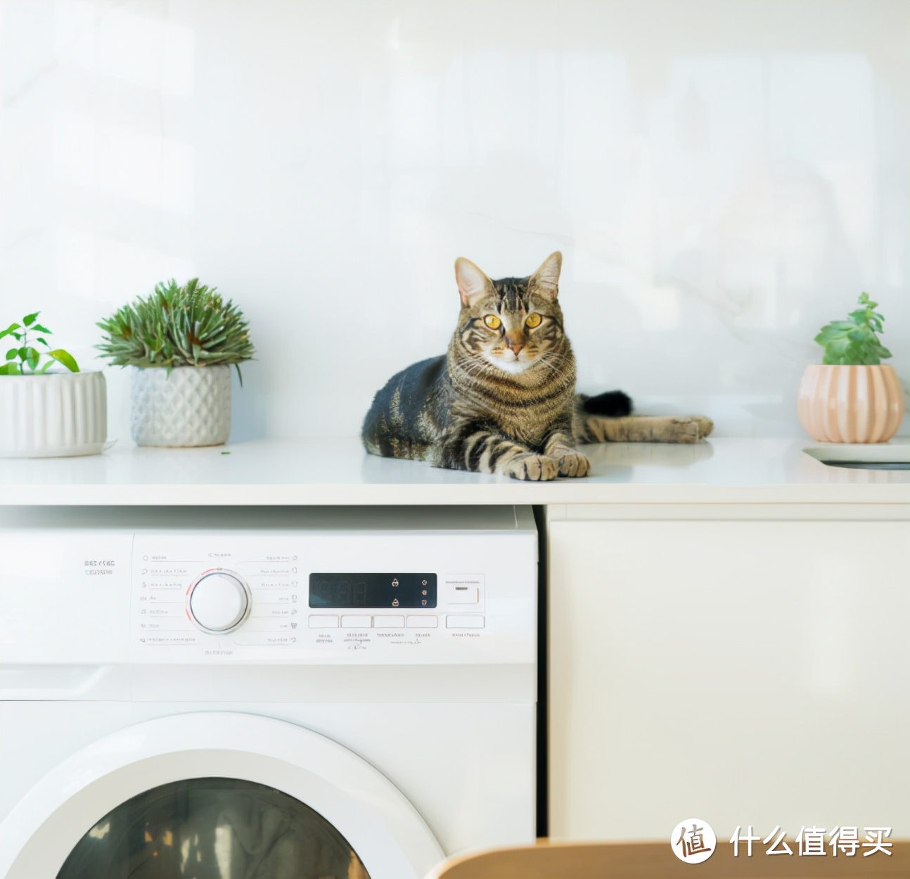 鍙屾棪瀹剁數濡備綍閫夎喘,鍙屾棪瀹剁數濡備綍閫夋嫨