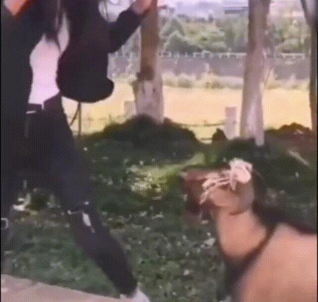 30万娶老婆搞笑视频,妻子输光200多万丈母娘退货