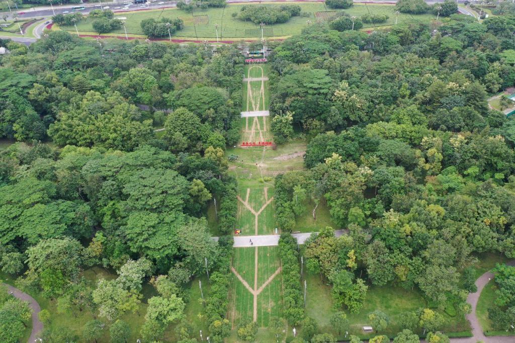 春天去哪儿玩？ABCD四条线路带你“狂飙”福田！