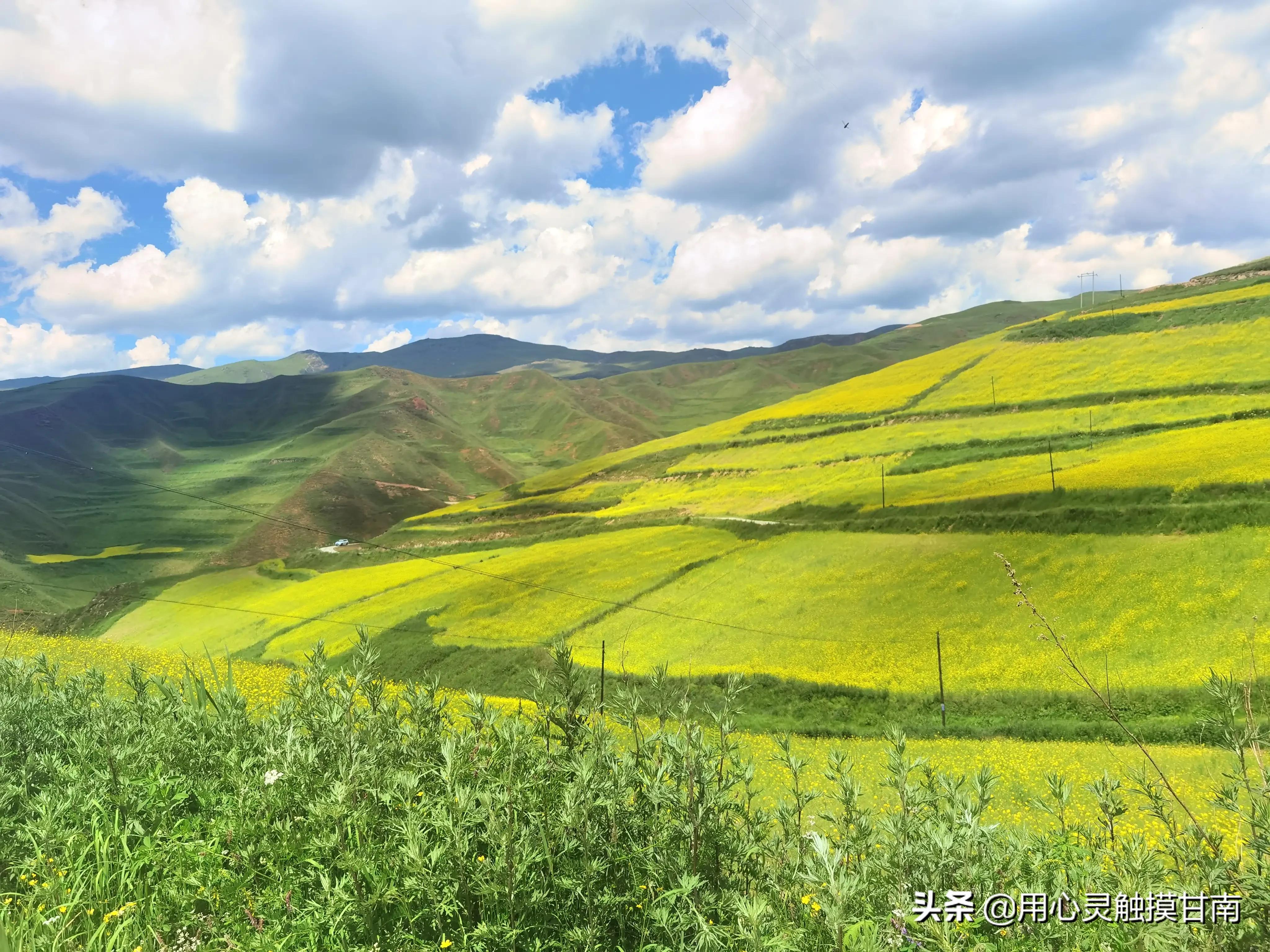 去宕昌县看草原怎么去,宕昌县草原旅游路线