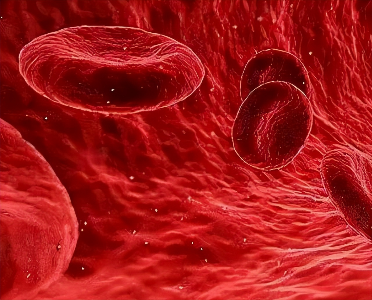 血常规哪几项指标升高为炎症,血常规检查结果七项升高