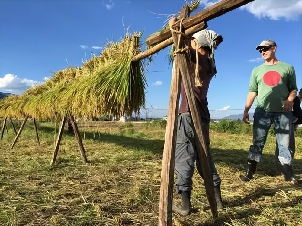 大理一个治愈心灵创伤的地方,在大理的治愈生活