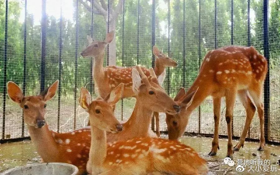 北京适合孩子玩的农场,一年四季都可以去的亲子农场