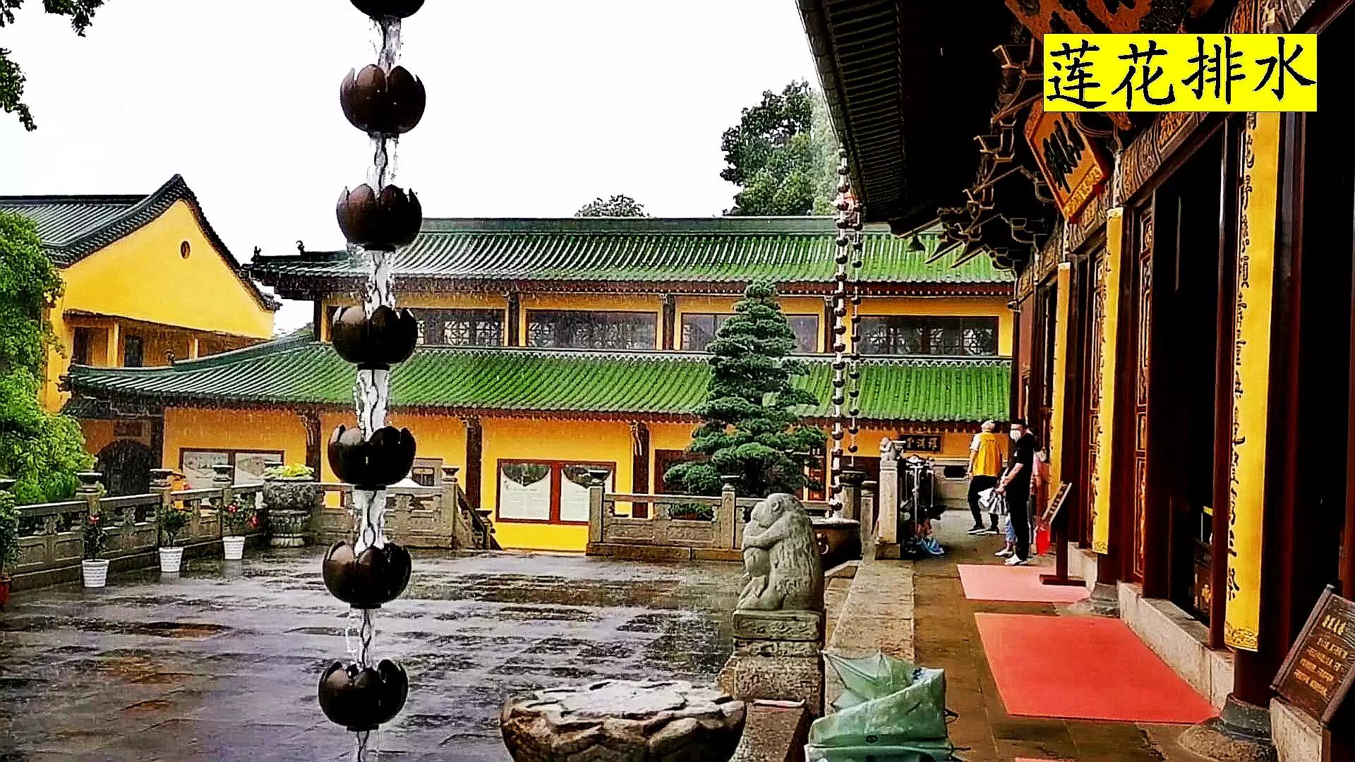 佛教圣地东林寺,东林寺祖庭与净土宗有何区别