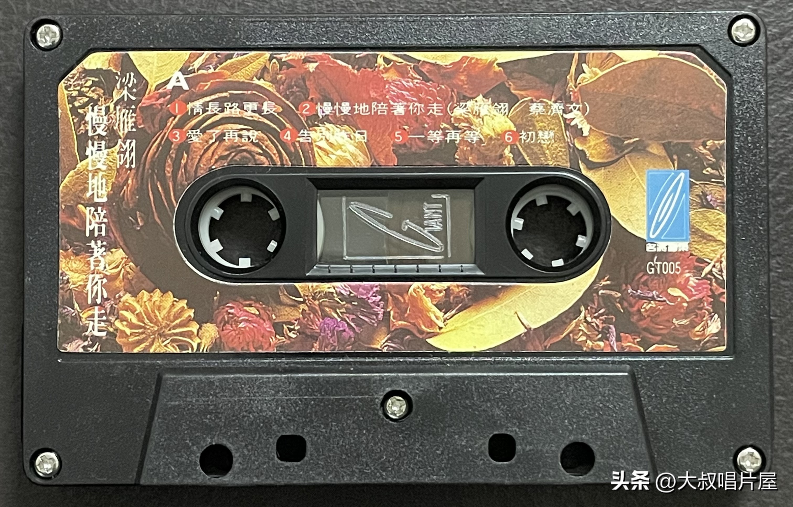 1993年中国神曲,1993年华语乐坛神曲大爆发