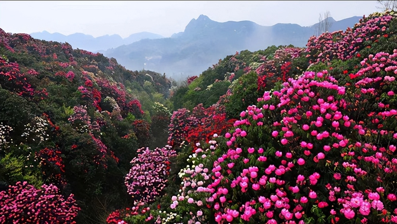 多彩贵州多彩迎宾价目表,多彩贵州多彩宝水费户名怎么修改