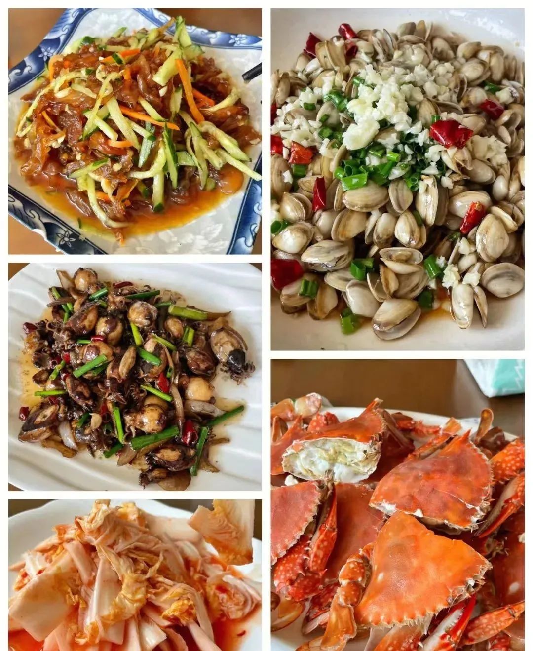 东海最后一处冷门小县城，藏了个海上仙子国，一口小海鲜封神