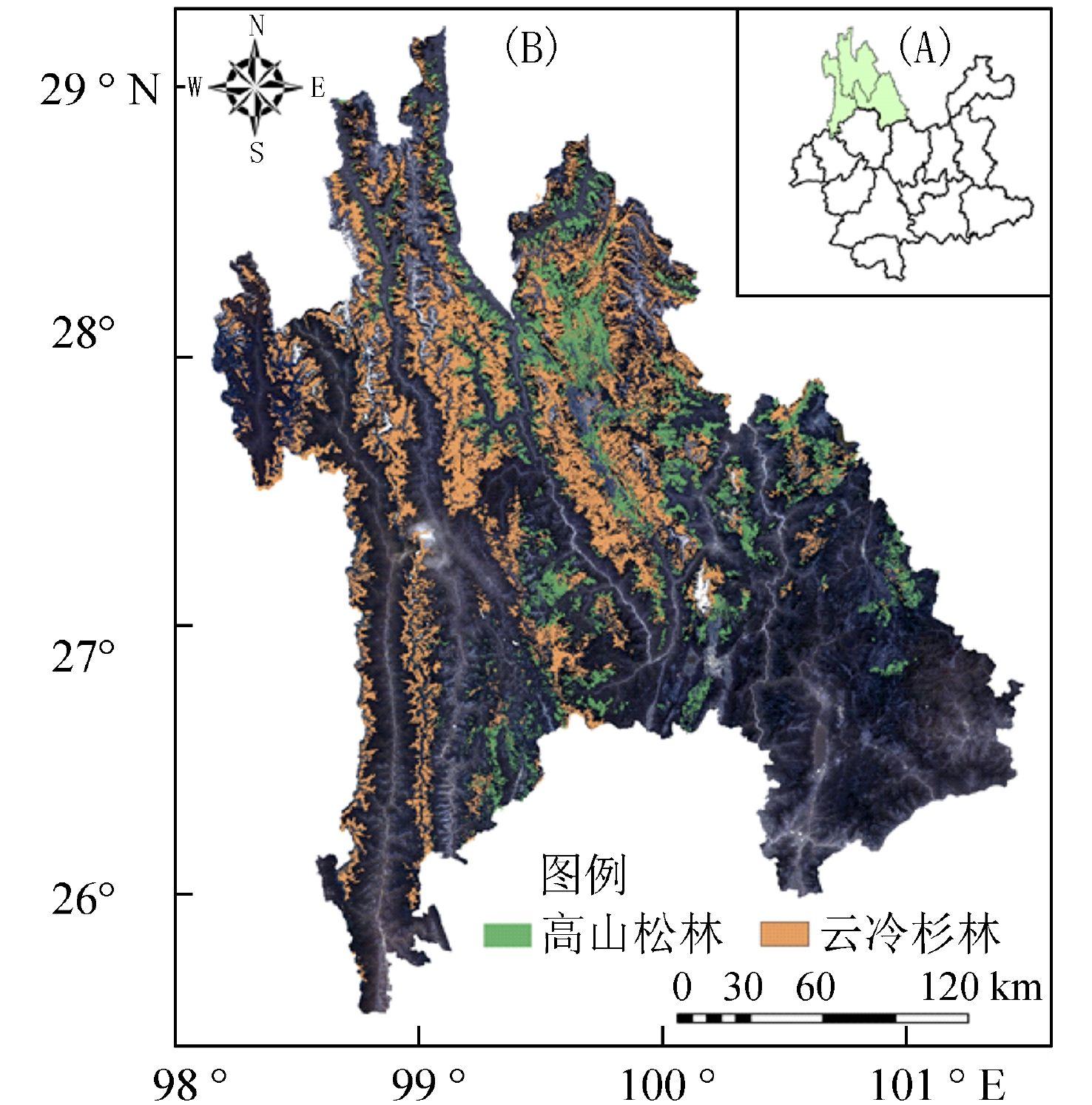 唾液含剧毒的五爪金龙现身云南,云南现两种极危物种五爪金龙