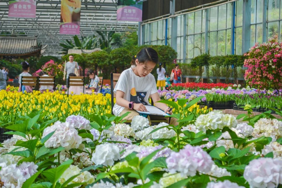 值得带娃去玩的景区推荐,无锡免费景区有哪些地方好玩