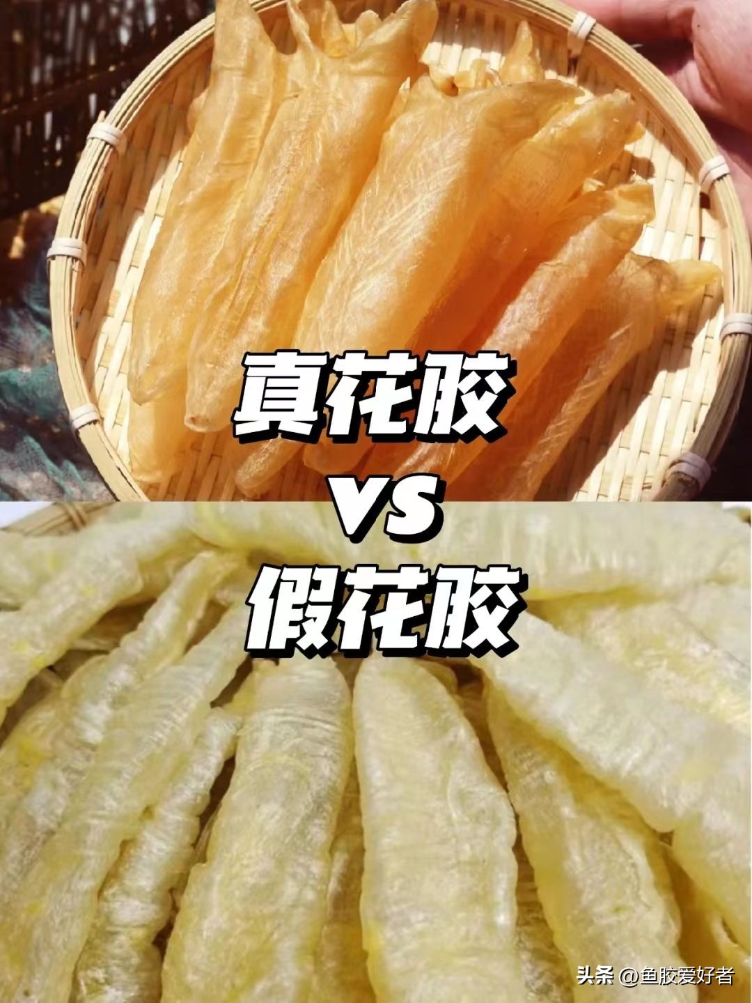 鱼胶花胶怎样使用,鱼胶花胶知识分享