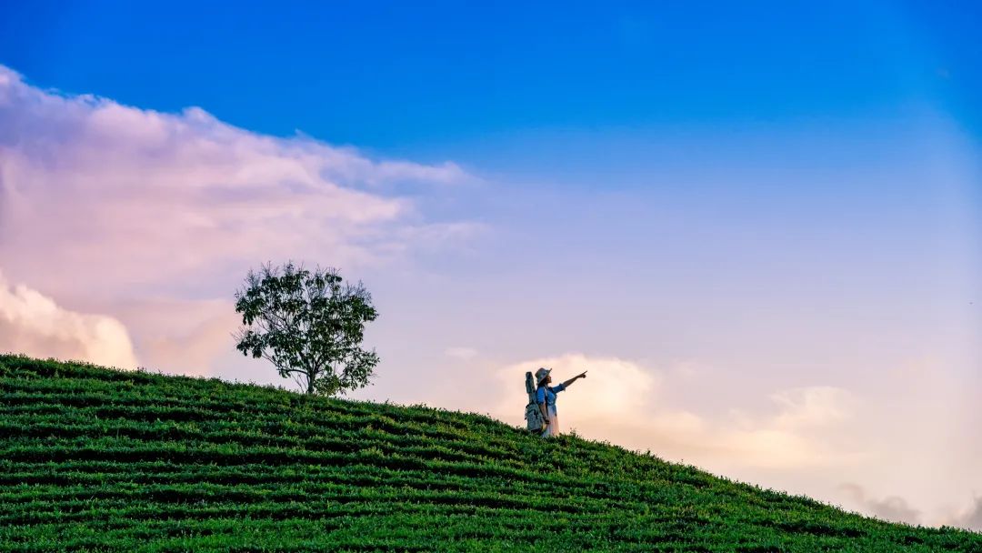 惠州柏塘罗浮山,惠州出发2天一夜旅游攻略图