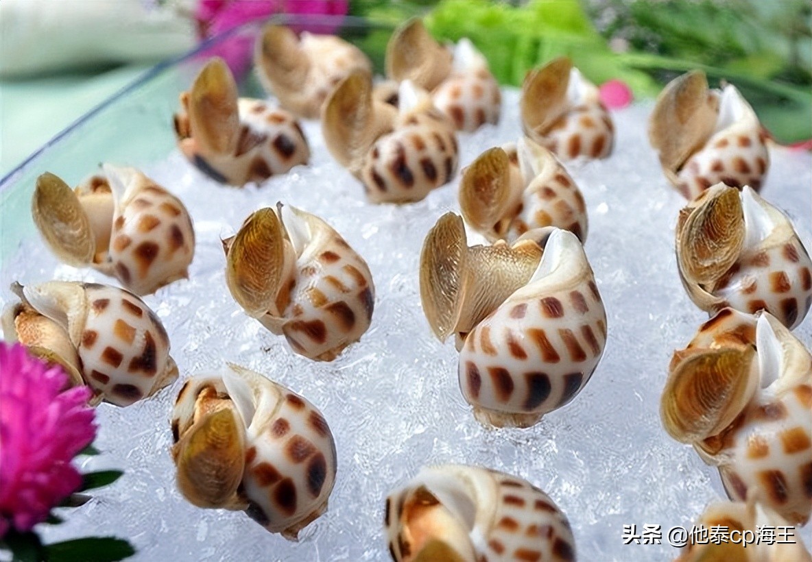 花螺哪个部分不能吃视频,花螺后面那段不能吃吗