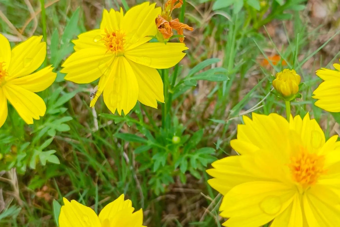 拉筋治好了一身的疾病,坚持拉筋20年变化