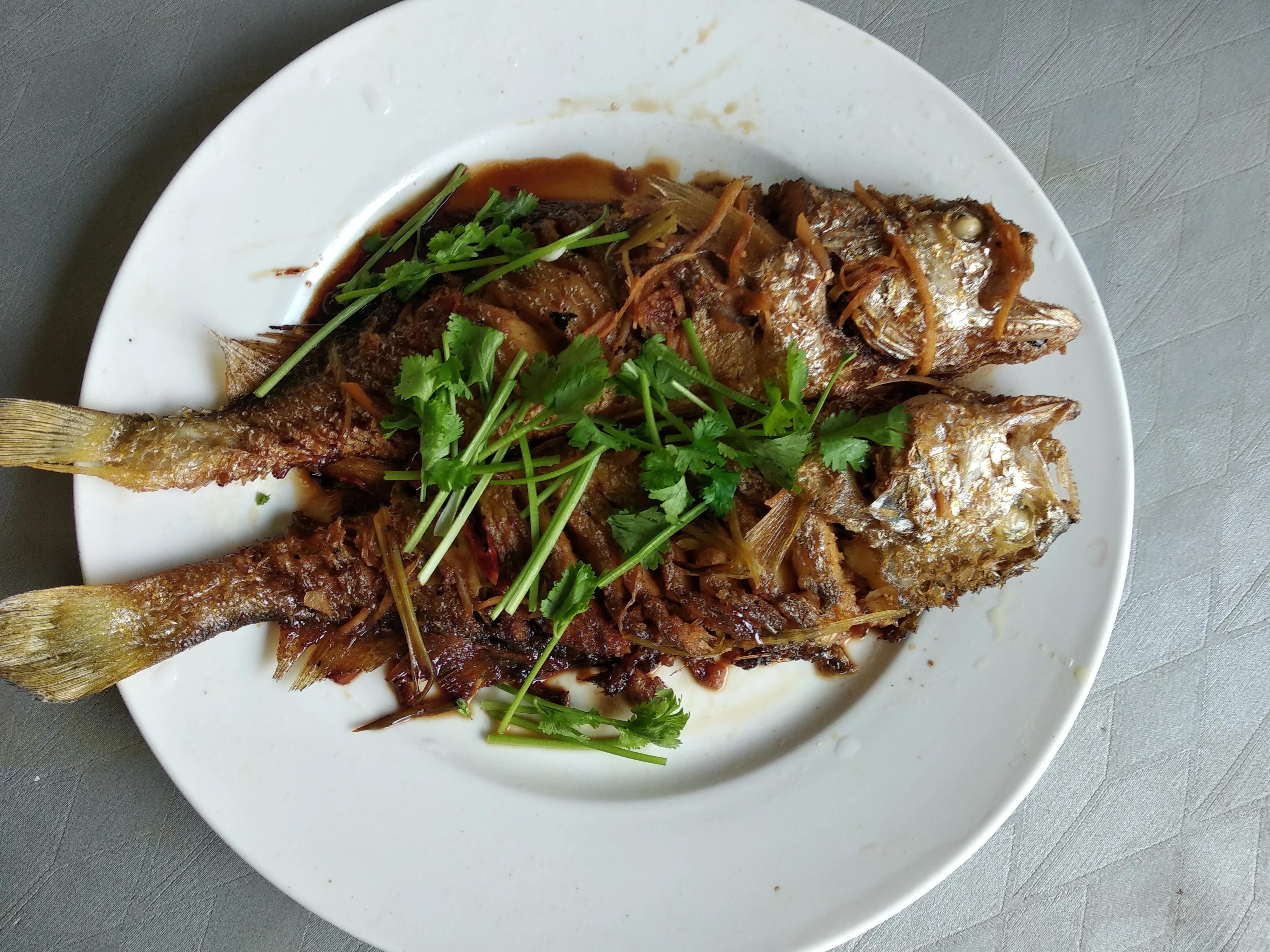 30种最常吃的海鱼图片大全,比较常见可以吃的海鱼