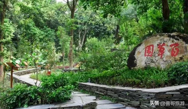 罗浮山风景区旅游攻略绵阳,罗浮山附近好玩的地方