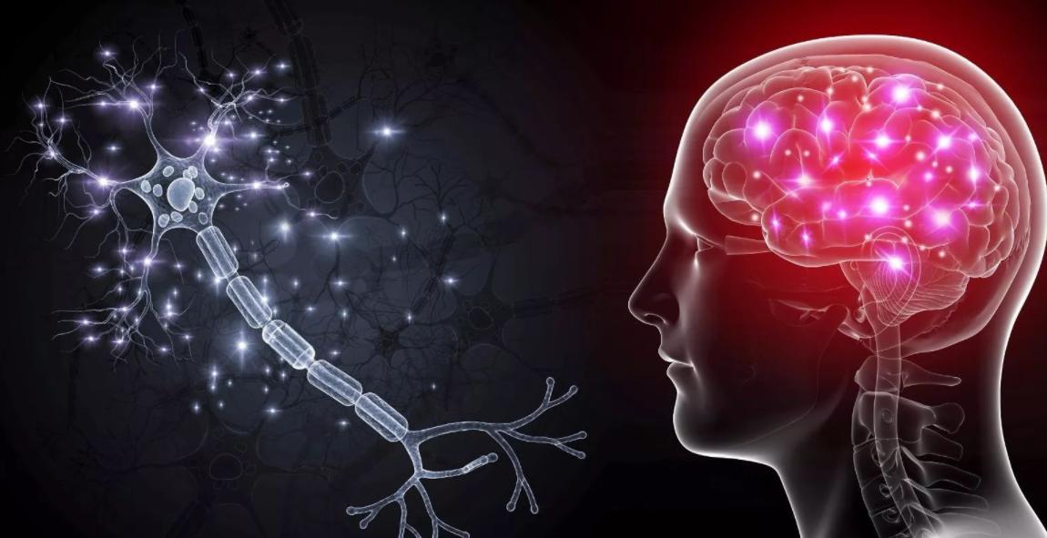 这4种假豆腐或许和大豆没关系,这三种豆腐都是假豆腐