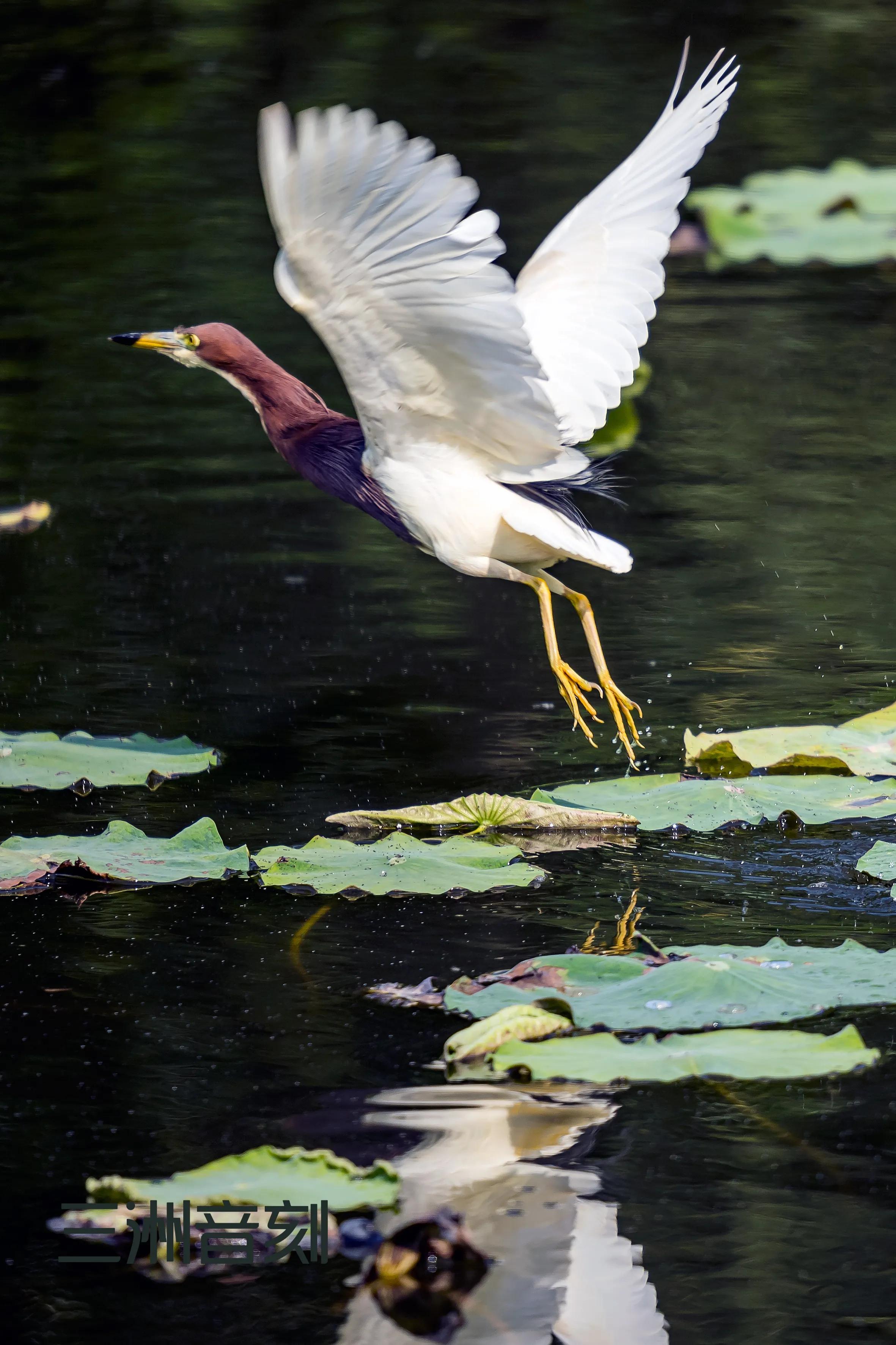 上海国际汽车城安亭,上海市嘉定区安亭国际汽车城