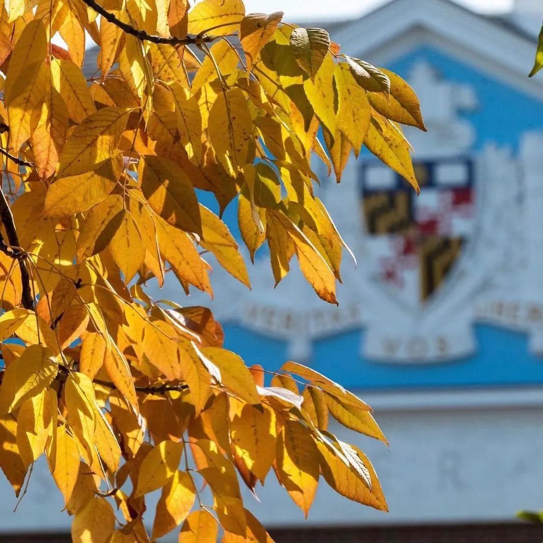 全美学习最刻苦的20所高校,美国最牛十大名校大学