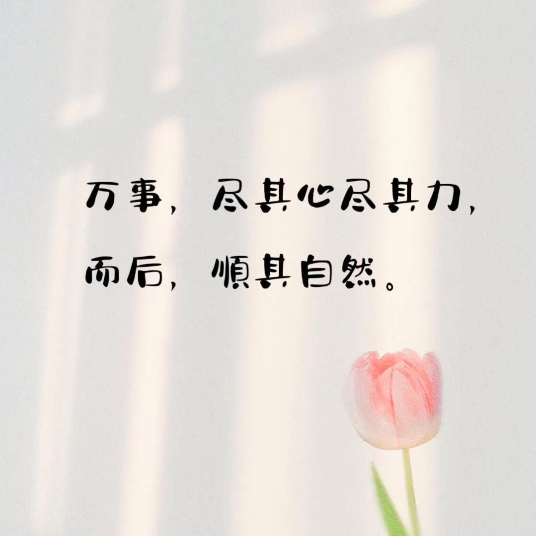 人生感悟别在黑夜寻找太阳的足迹,希望你人生中的每一个重要的日子