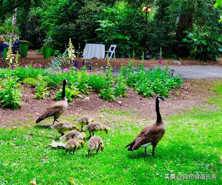世界花园风景,世界花园