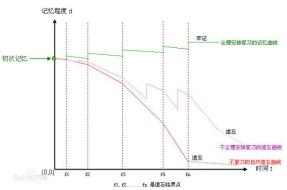 了解脑科学帮助你高效记忆,脑科学教你如何变高效