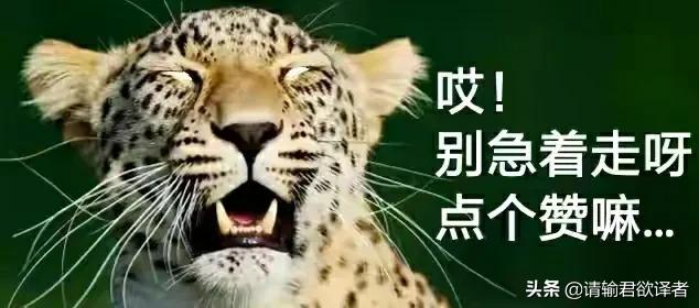 海底知识大全关于动物和植物,我们了解到了很多动物的知识