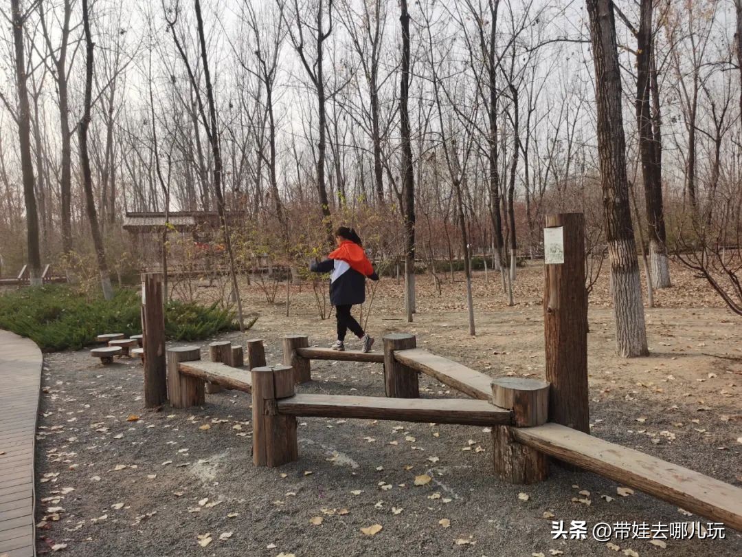 在森林公园里玩耍,中国可以骑行的森林公园