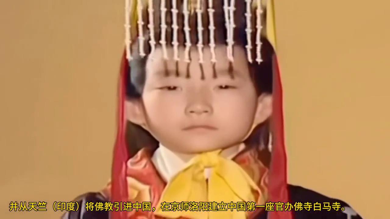 一口气看完东汉皇帝上集,东汉历代皇帝哪个皇帝比较优秀