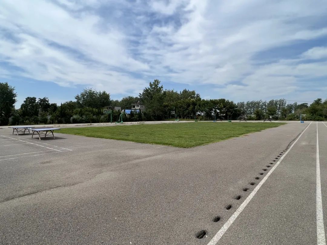 富德小海豚公益,富德生命人寿小海豚公益计划