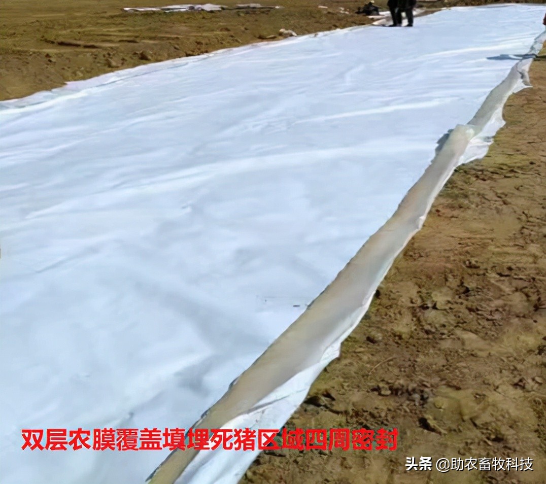 病死动物无害化处理实现全覆盖,宁夏病死动物无害化处理实施方案