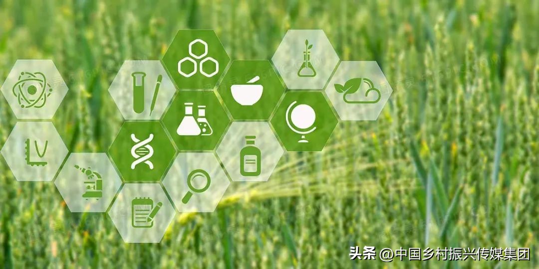 2022乡村振兴扶持项目方案,2023年乡村振兴项目补贴申报指南