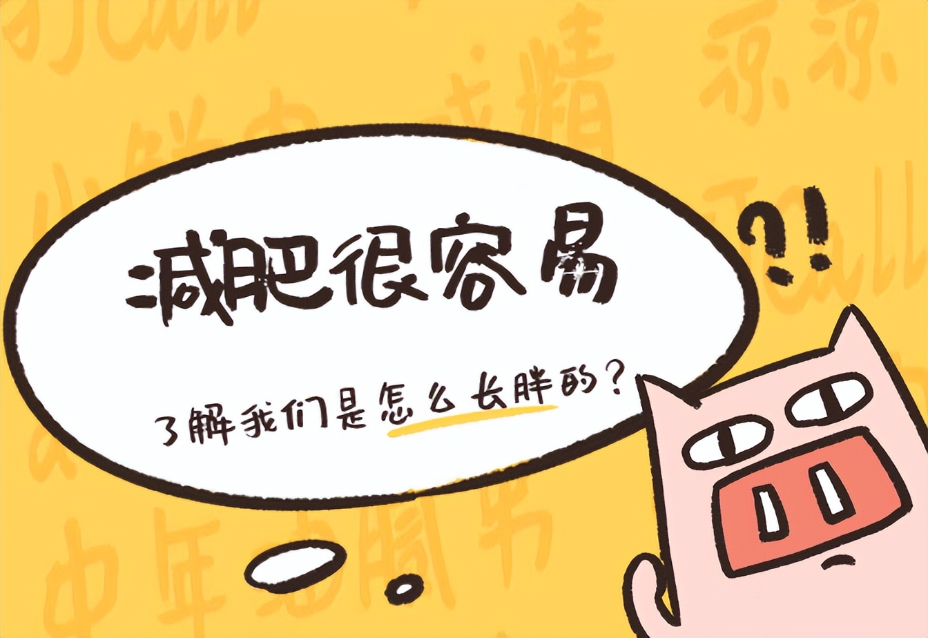 为什么不吃米饭体重会下降,为什么不吃米饭瘦得特别快