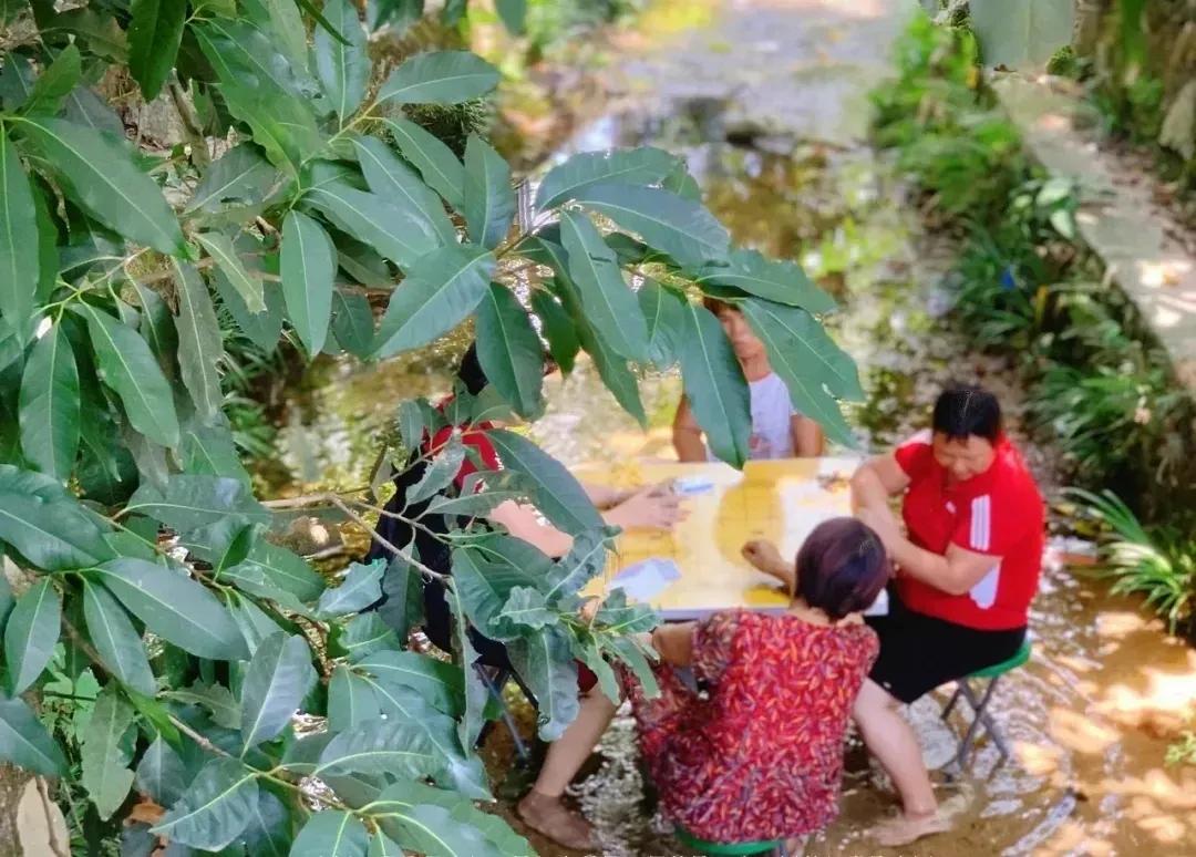 从化东成荷花园,从化摘荔枝之旅