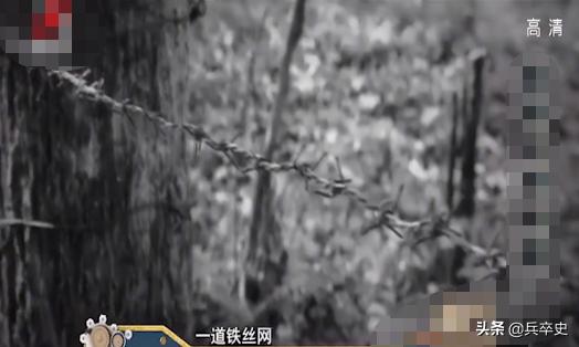 野猪林诡异事件,野猪林神秘事件