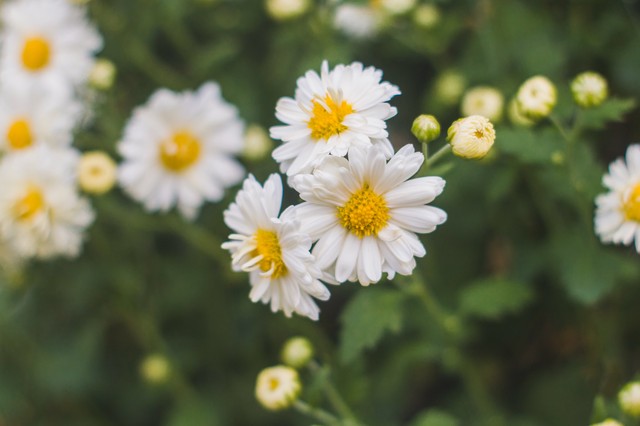 大姨妈来了能肛检吗,大姨