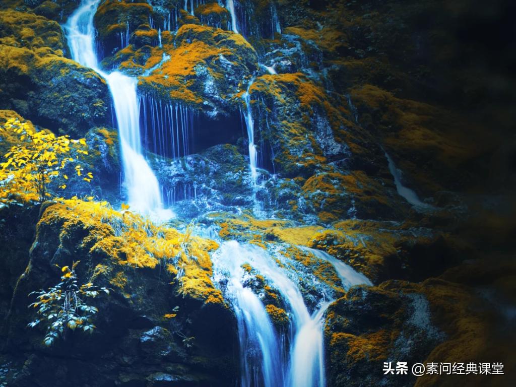 秋“薏”浓浓，扒扒薏米与祛湿与抗癌