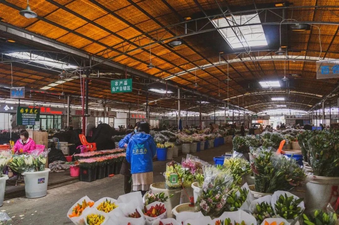 第一批「旅游特种兵」已到达广州,攻略整理完毕!