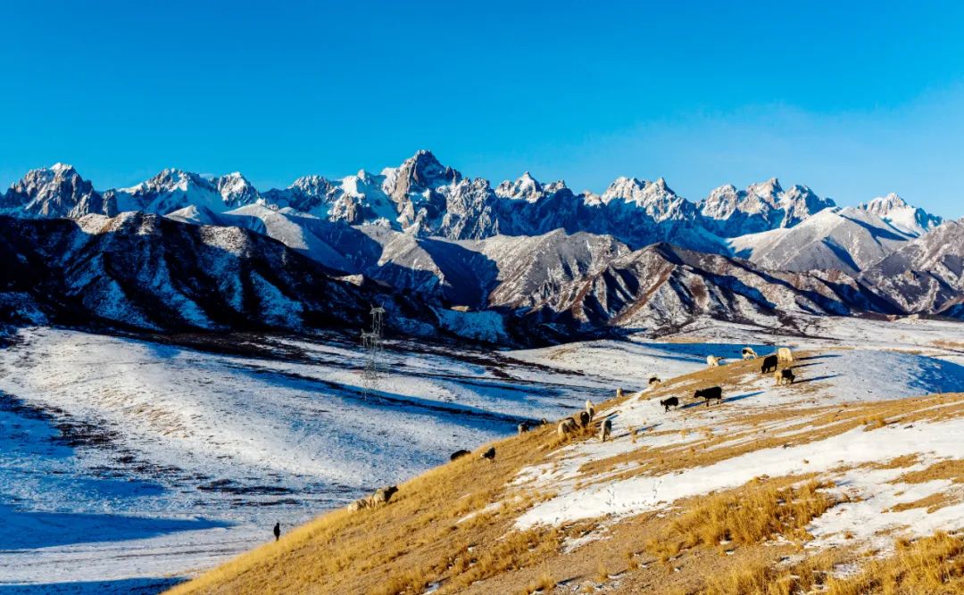 甘肃想吃美食去哪里旅游,甘肃啥地方