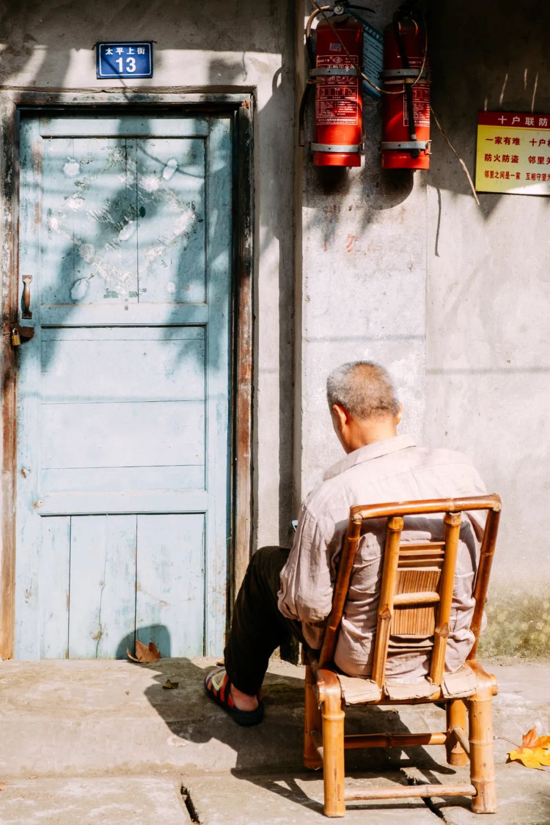 四川哪里可以采摘樱桃,成都周边摘桃攻略