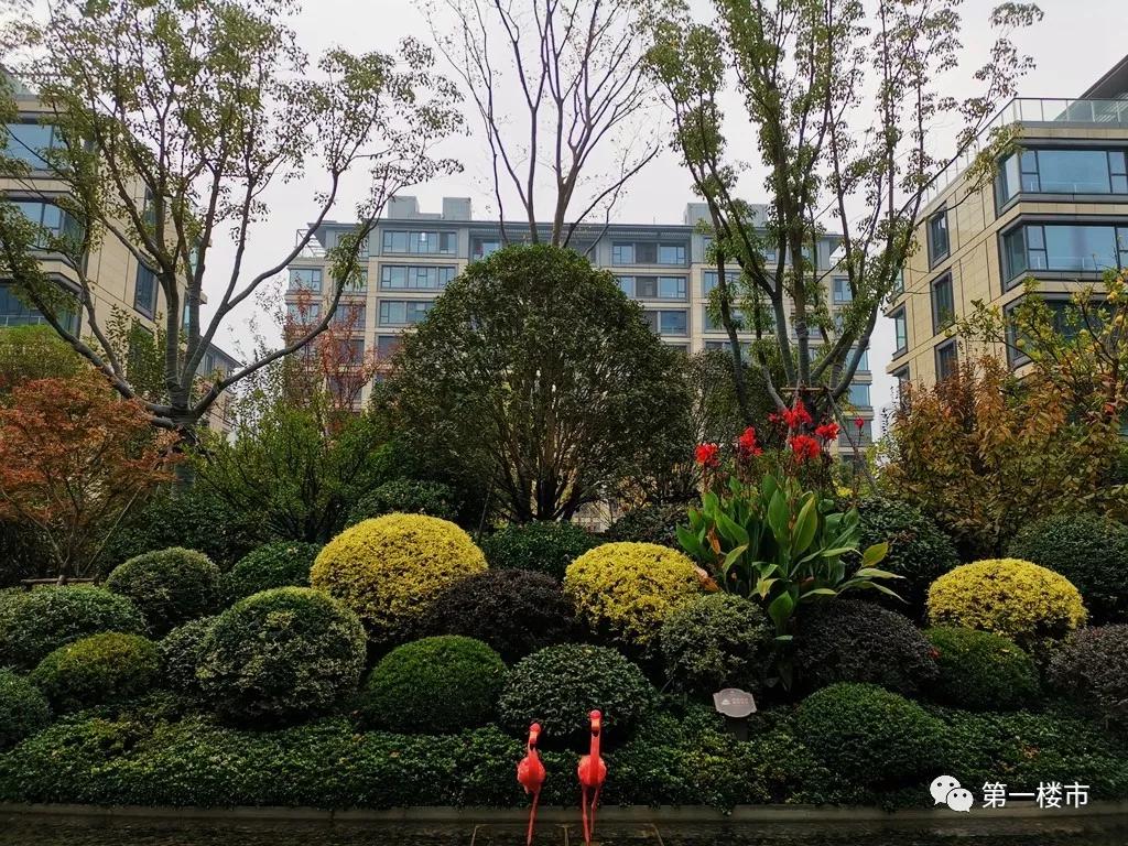 最新合肥小区物业排名,合肥物业排名前十的品牌