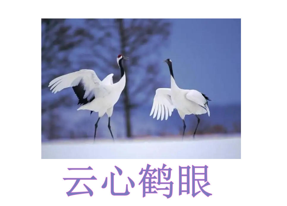 宝藏之成语,诗意成语,第一集!四种声调全有的成语,成语飞花令