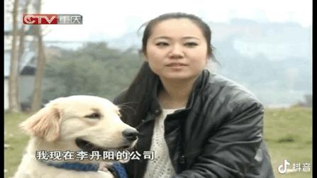 小狗帮主人摘橘子,小狗帮主人摘梨