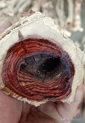 黄花梨手串是怎样制作的,108颗海南黄花梨手串的制作过程